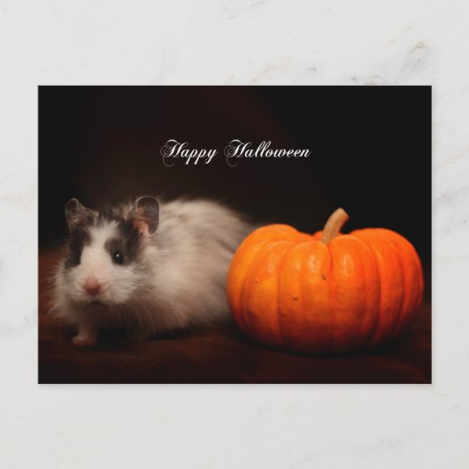 Oreo's Halloween Briefkaart (Voorkant)