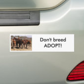 Orfaals Bumpersticker (Op auto)