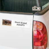 Orfaals Bumpersticker (Op Truck)