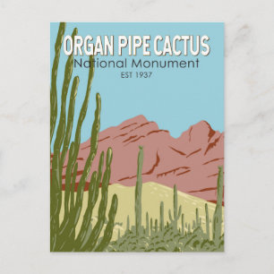 Organ Pipe Cactus National Monument Arizona Retro Briefkaart