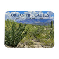 Organ Pipe Cactus, Ocotillo Shrub, Ajo Mountains