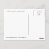 Organe d'abbaye de Tewkesbury, carte postale (Dos)