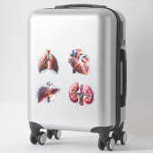 Organes humains 4 Stickers Pack (Sur valise)