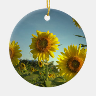 Organic Gardening Ornament