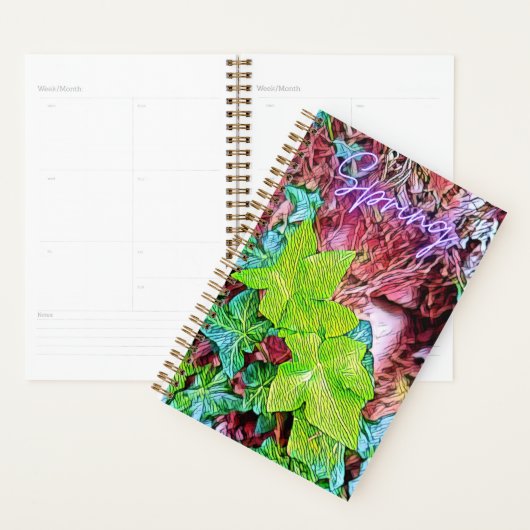Organisateur (Devant avec enveloppe)