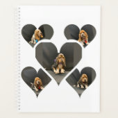 Organisateur de chiot Basset hound (Devant)