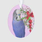 Organisation de parapente pour les vacances et la (devant)