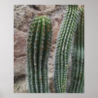 Organische pijp Cactus - zuidwest Cacti Wall Decor