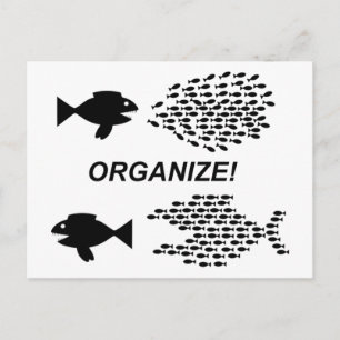 Organiser la carte postale