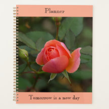 Organiseur Rose Corail