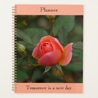 Organiseur Rose Corail