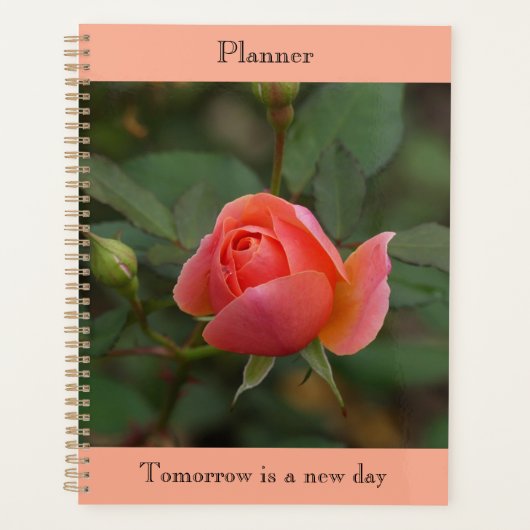 Organiseur Rose Corail (Devant)