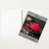 Organiseur Rose Rouge (Devant avec enveloppe)