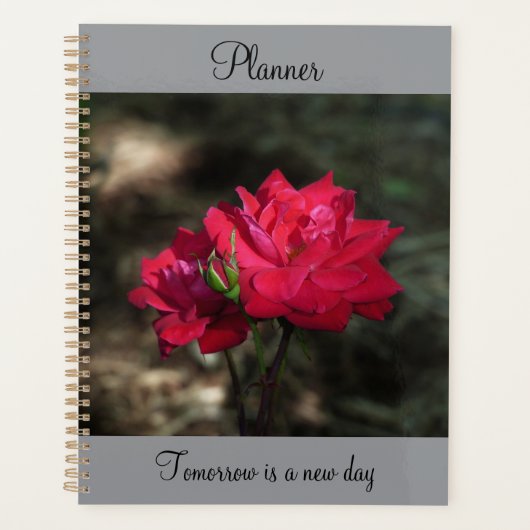 Organiseur Rose Rouge (Devant)