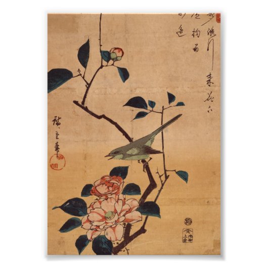 Oriental Camellia en Warbler Foto Afdruk (Voorkant)