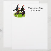 Oriental Game Fowl Quartet (Voorkant / Achterkant)