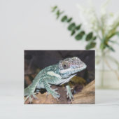 Oriental Knight Anole Lizard close up Briefkaart (Staand voorkant)