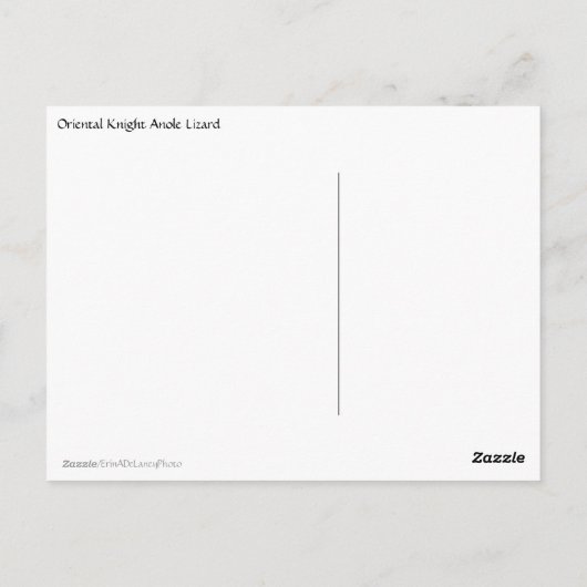 Oriental Knight Anole Lizard close up Briefkaart (Achterkant)