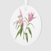 Oriental Lily - Stargazer Ornament (voorkant)