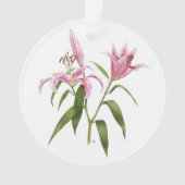 Oriental Lily - Stargazer Ornament (voorkant)