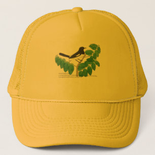 Oriental Magpie-Robin Trucker Pet