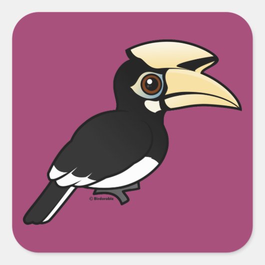 Oriental Pied Hornbill Vierkante Sticker (Voorkant)