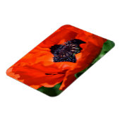 Oriental Poppy Magneet (Linkerzijde)