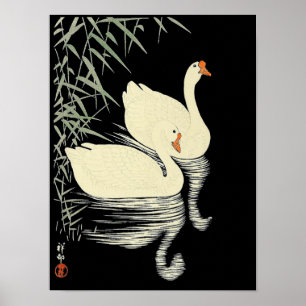 Oriental White gese door Reeds van Ohara Koson Poster