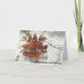 Oriental Zen Red Anthuriums Boeket All-Occasion (Achterkant)