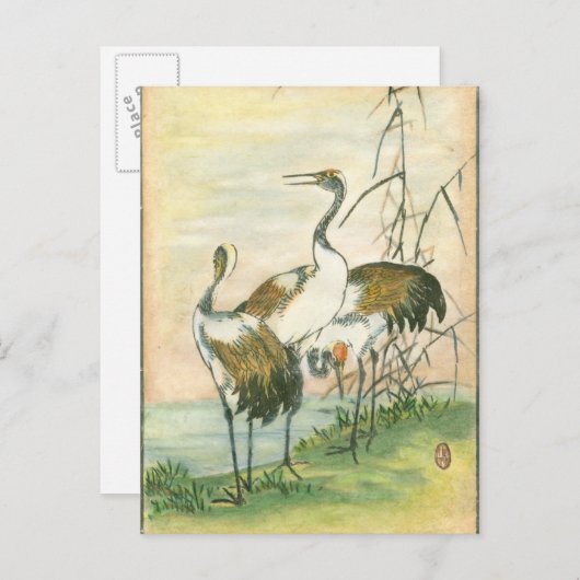Orientale kranen door het water briefkaart (Voorkant / Achterkant)