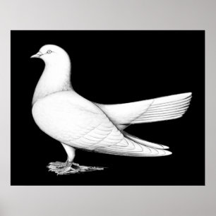 Orientale rol: type vliegend vaartuig poster