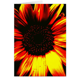 original photographique d'art de grand tournesol