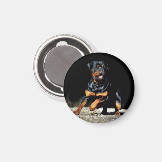Original Rottweiler Magnet (Recto/Verso)