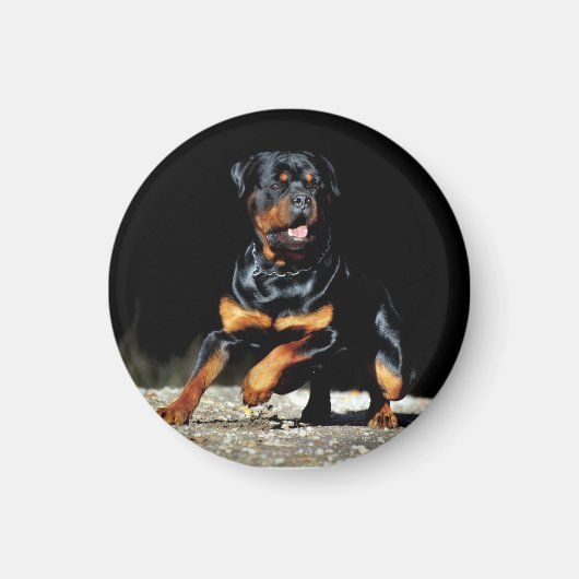 Original Rottweiler Magnet Magneet (Voorkant)