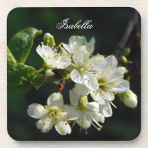 Original White Plum Art Custom Name Coaster