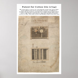 ORIGINEEL Patent voor de katoenplant (1794) Poster