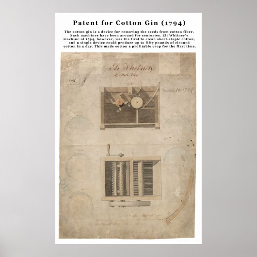 ORIGINEEL Patent voor de katoenplant (1794) Poster (Voorkant)