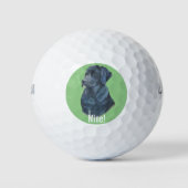 origineel portret afbeelding zwarte labrador hond golfballen (Voorkant)