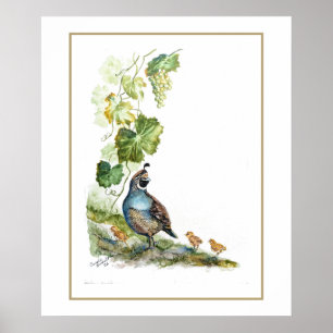 Originele Aquarel Californische Kwartelfamilie Dru Poster