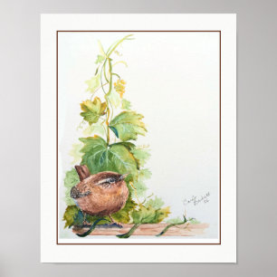 Originele Aquarel Kunst Pacifische Winterkoning Vo Poster