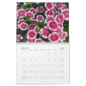 Originele fotografie-ventilatorkalender kalender (Jan 2026)