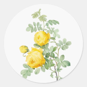 Originele Kunst Waterverf Tuin Bloem Rozen Ronde Sticker