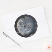 Originele Mooper Stickers (Envelop)