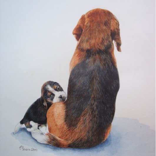 originele schilderijen van schattige puppy dogs 20 kalender