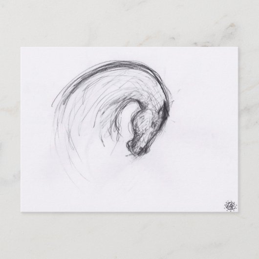 Originele tekening 2 Paardenjaar Dierenriem Ansich Briefkaart (Voorkant)