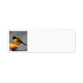 Oriole adderlabel etiket (Voorkant)