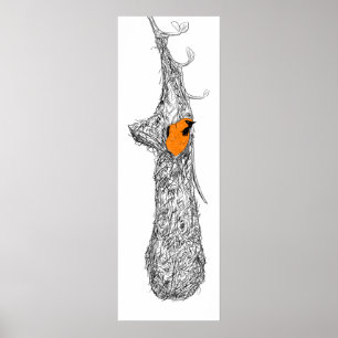 Oriole Nest Poster