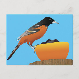 Oriole Postcard Briefkaart