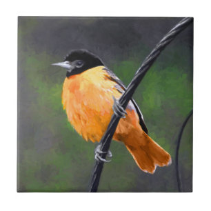 Oriole schilderen - Oorspronkelijke vogelkunst Tegeltje