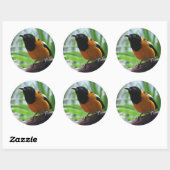 Oriole van Helaine Ronde Sticker (Vel)